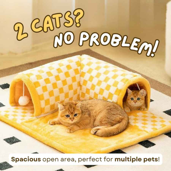 First Class Cat Tunnel Bed