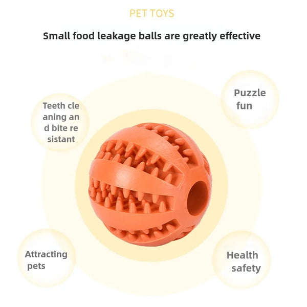 Bouncy Dog Fun Ball