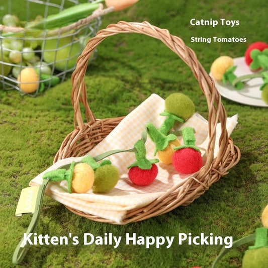 Tomato Vine Cat Toy