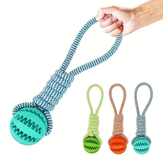 Ultimate Dog Play Bundle