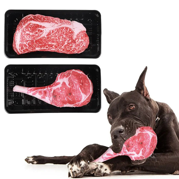Squeaky Fun Dog Chew Toy