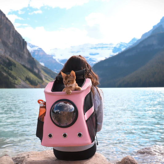 Adventure Cat Carrier