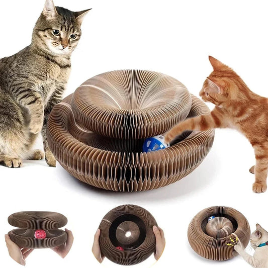 Purrfectly Fun Cat Scratch Maze
