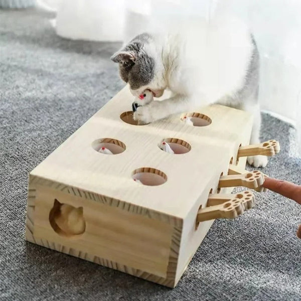 Fun Chase Hamster Toy