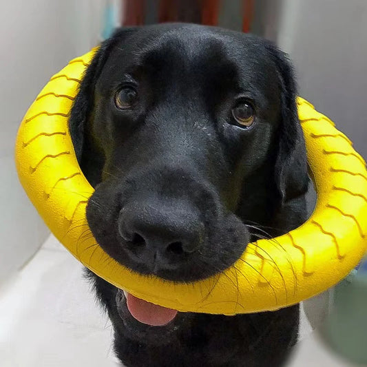 Ultimate Dog Play Ring