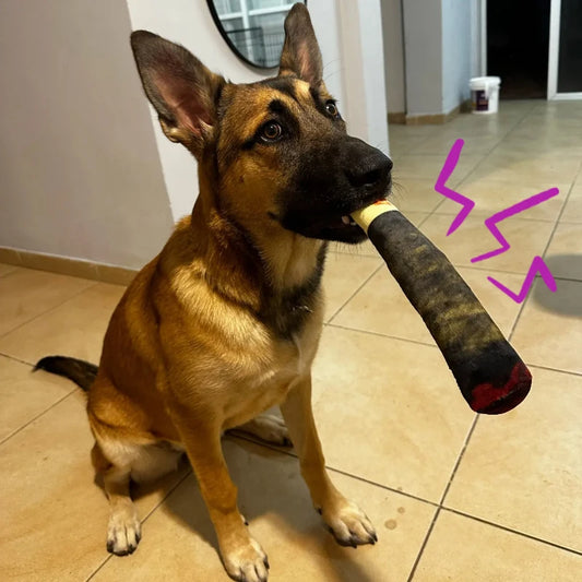 Puppy Squeak Cigar Chew Toy