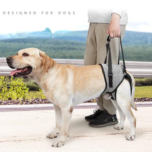 Comfort Lift Harness for Dogs