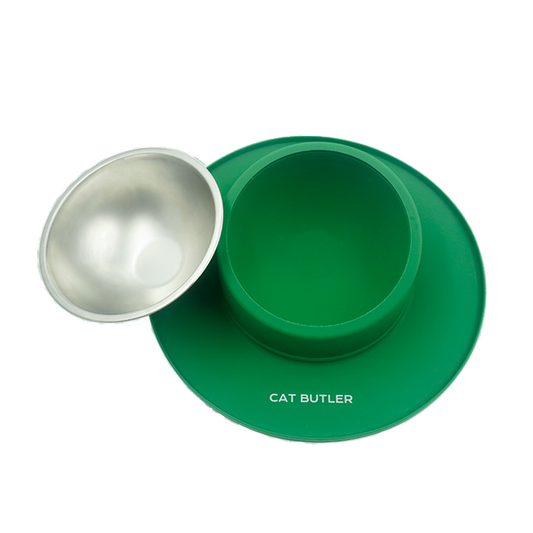 Cat-Friendly Nonslip Bowl