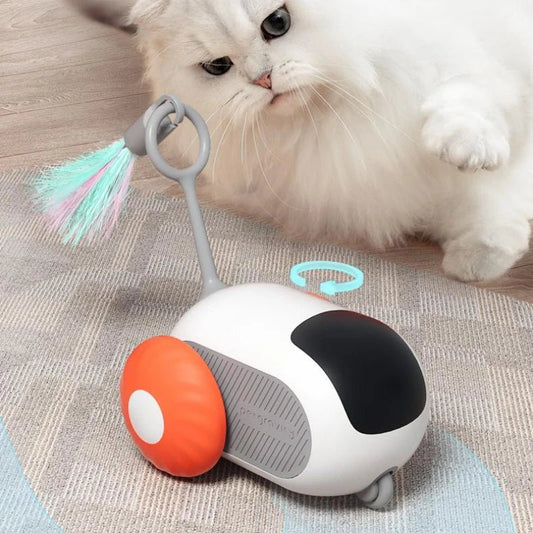 Purrfect Playtime Car