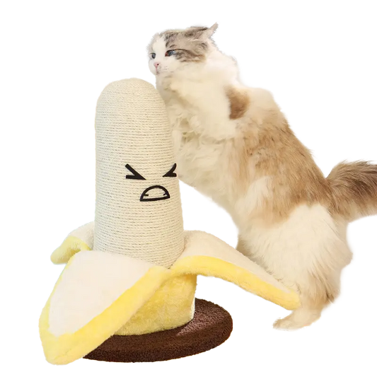 Banana Cat Fun Pad