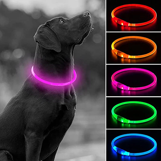 GlowBright USB Dog Collar